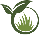 Lawn Reseeding Service Pros