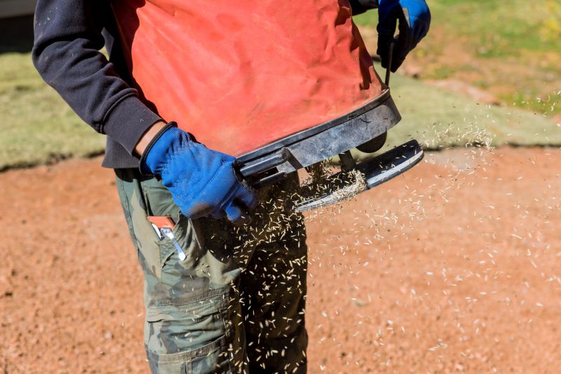 Increase Your Lawn Reseeding Business with an AI Driven, Targeted Website