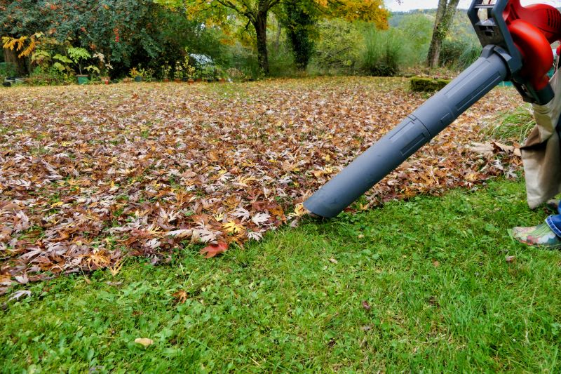 Fall Lawn Equipment
