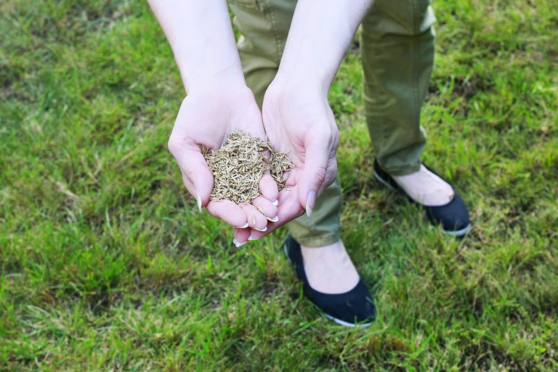 Fall Reseeding Process